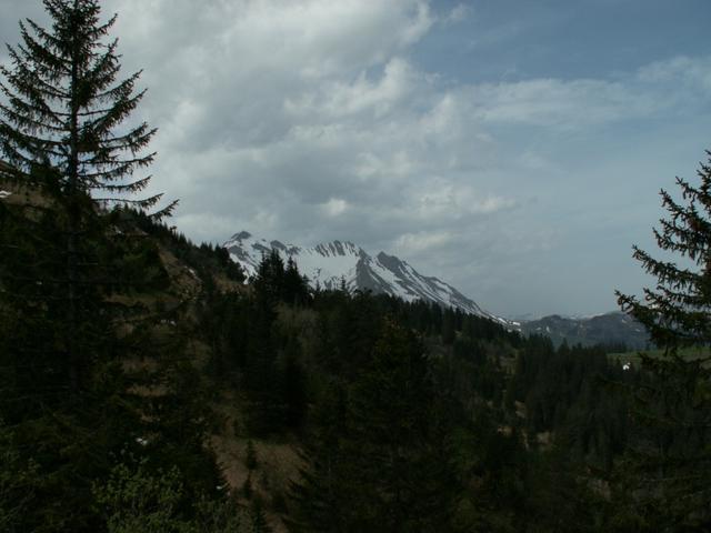 Im Hintergrund der Brienzer Rothorn