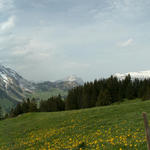 Breitbildfoto bei Jänzimatt mit Arnihaagen und Brienzer Rothorn