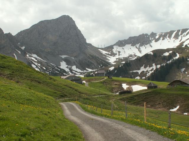 Blick auf Jänzimatt