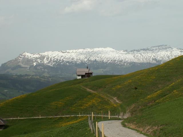 Blick zurück