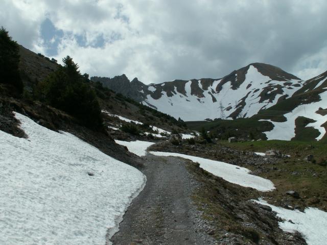 wir erreichen den Schnee