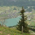 Blick runter nach Lungern mit Lungernsee