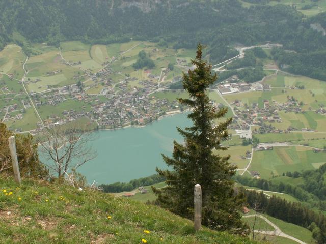 Blick runter nach Lungern mit Lungernsee