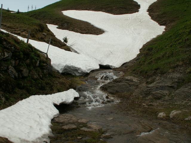 kurz vor der Fluonalp