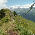 Gratwanderung Stoss-Fronalpstock-Klingenstock 15.7.2008