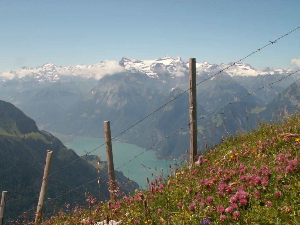 Urnersee und Urirotstock