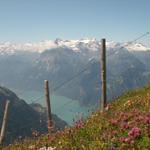 Urnersee und Urirotstock