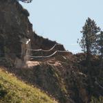 perfekt ausgebauter Wanderweg