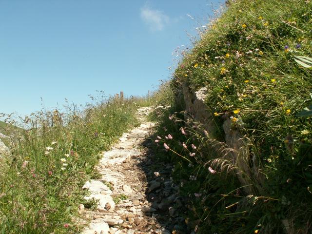 perfekter Wanderweg