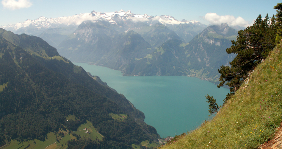 Blick runter zum Urnersee und Sisikon