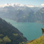 Blick runter zum Urnersee und Sisikon