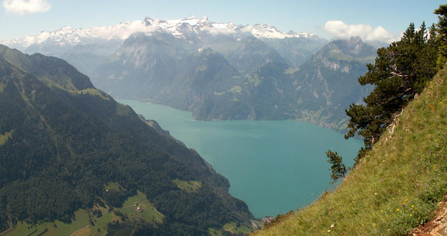 Blick runter zum Urnersee und Sisikon