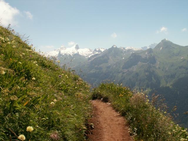 schöner Weg und super Aussicht