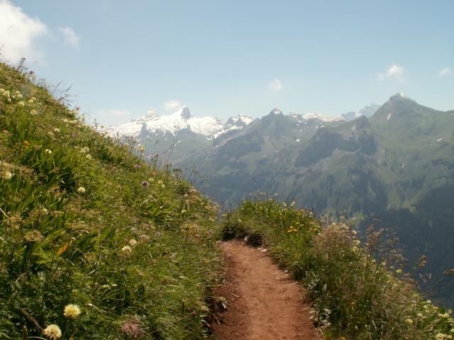 schöner Weg und super Aussicht