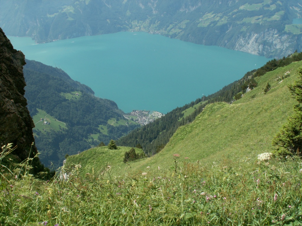 Blick runter zum Urnersee und Sisikon