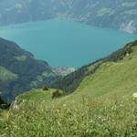 Blick runter zum Urnersee und Sisikon