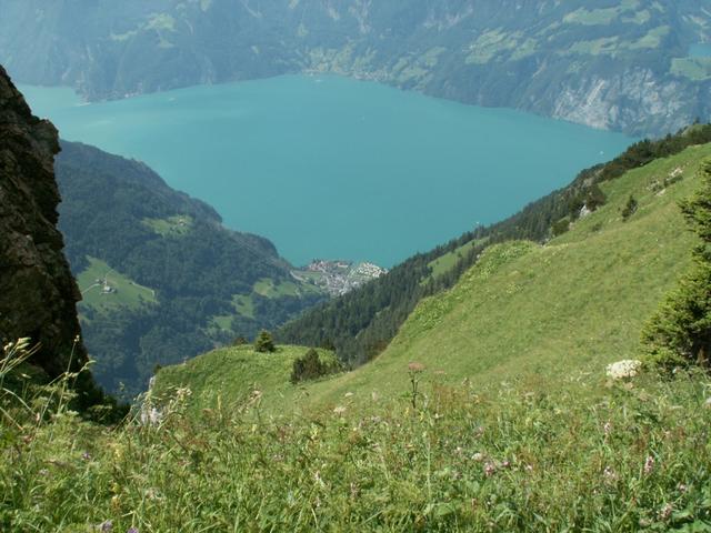 Blick runter zum Urnersee und Sisikon