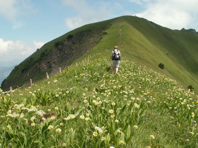 überall Blumen