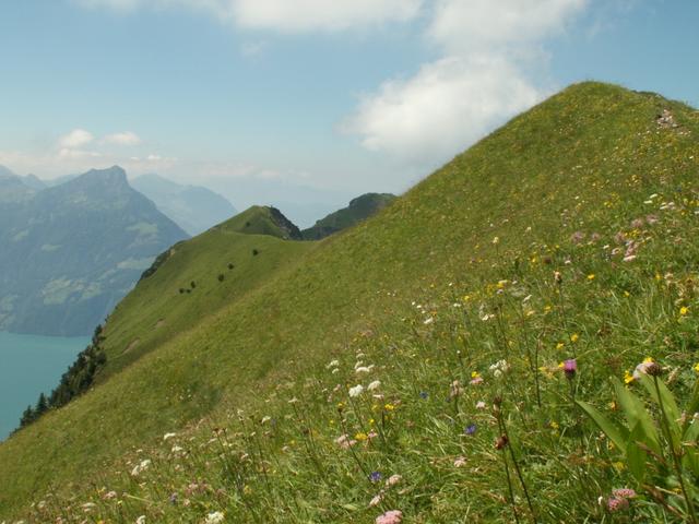 Blick zurück