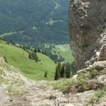 Blick runter in das Riemenstaldnertal