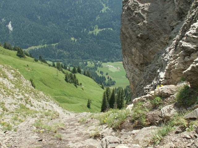 Blick runter in das Riemenstaldnertal