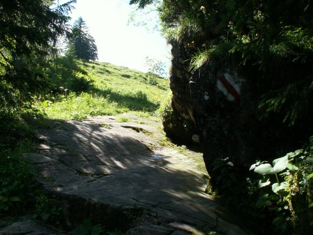 bei Stägli 1451 m.ü.M.