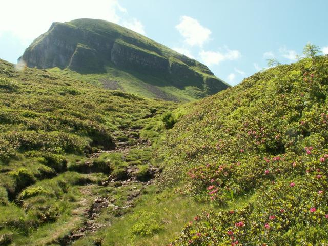 der Lauiberg