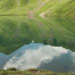 die Berge spiegeln sich im Sihlseeli