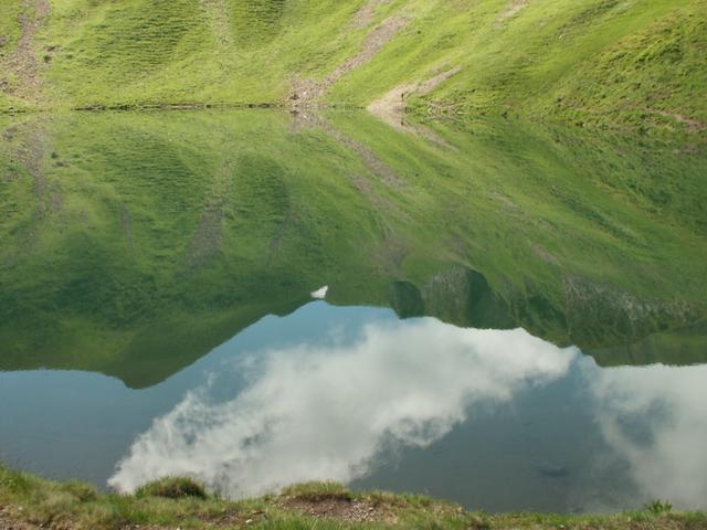 die Berge spiegeln sich im Sihlseeli