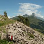 schöner Höhenweg Richtung Schwialppass