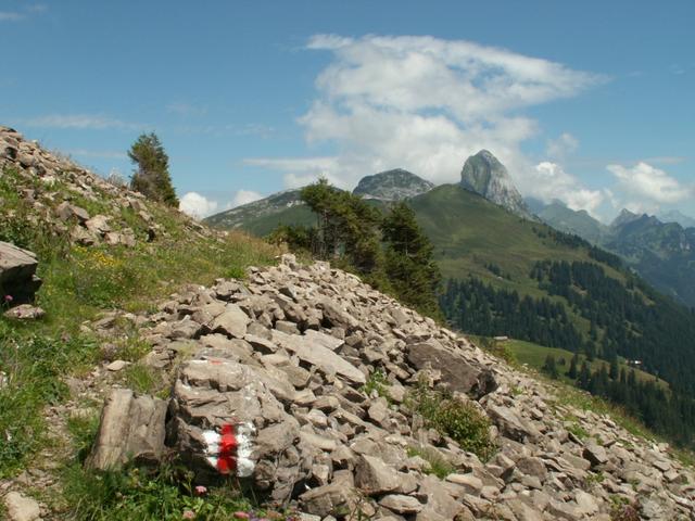 schöner Höhenweg Richtung Schwialppass