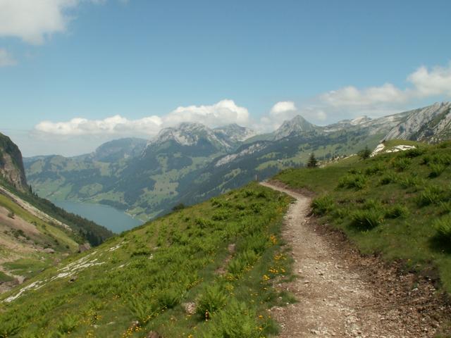 von hier aus geht es nur noch runter bis zum Wägitalersee