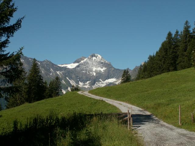 es geht in Richtung Hängstboden. Im Hintergrund der Hausstock