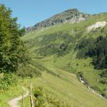 Blick zurück Alp Bischof