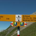 Wegweiser auf dem Richetlipass 2261 m.ü.M.