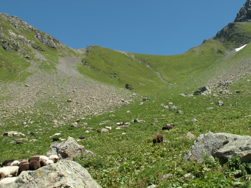 Blick hinauf zum Richetlipass