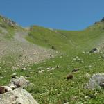 Blick hinauf zum Richetlipass