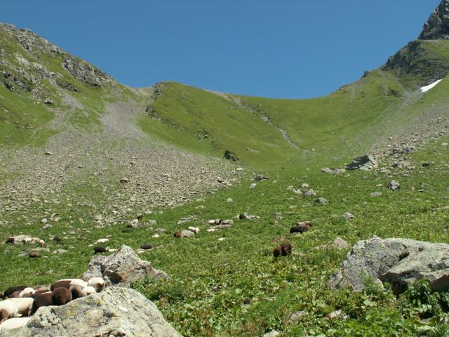 Blick hinauf zum Richetlipass