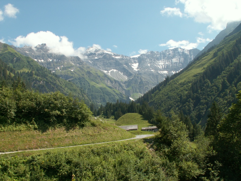 Blick zurück