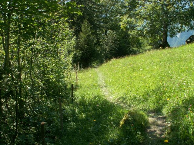 wir verlassen die Strasse und gehen runter zum Bachtobel