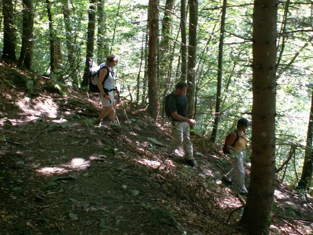 steil geht es auch im Wald runter