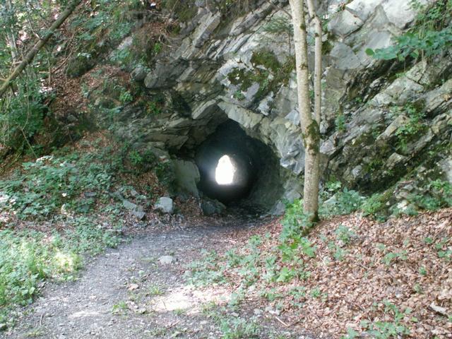 auch ein Tunnel ist vorhanden