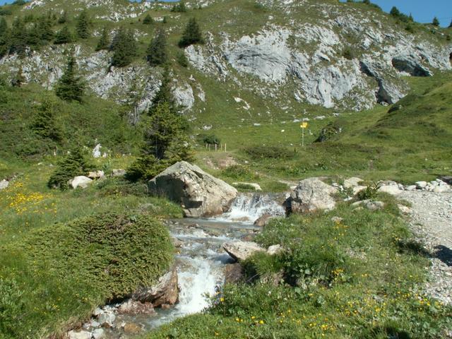 über Weiden geht es Richtung Saaser Calanda