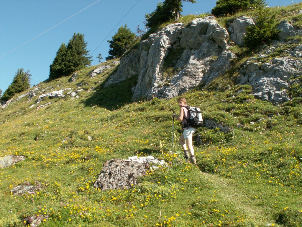 jetzt geht es nur noch aufwärts