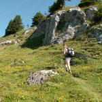 jetzt geht es nur noch aufwärts