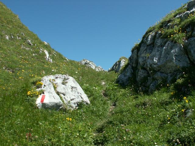 schöner Bergweg