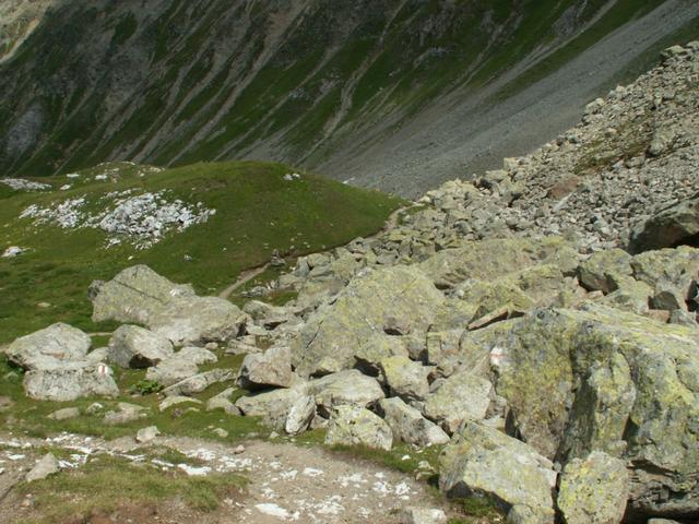 langsan verschwindet die Steinwüste