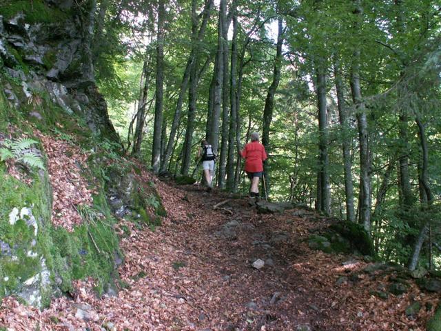 weiter aufwärts durch den Wald