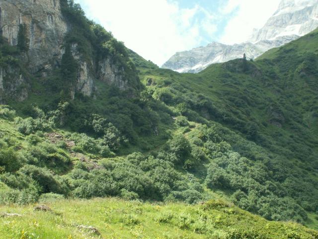 bald haben wir den höchsten Punkt der Wanderung erreicht