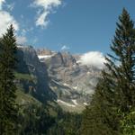 Blick zurück zum Bächistock